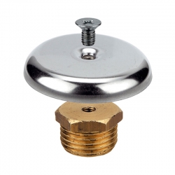 Brass-Plug-with-CP-rosette.jpg